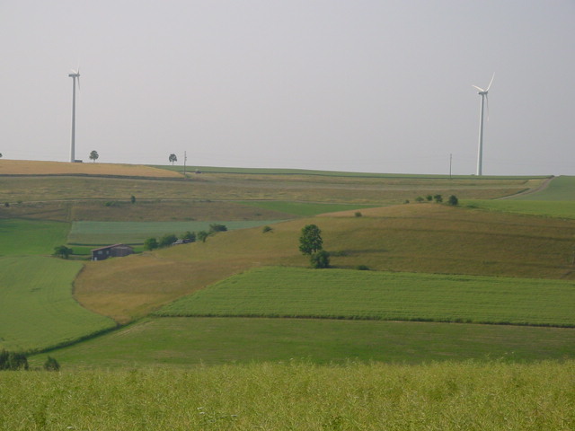 d075.jpg